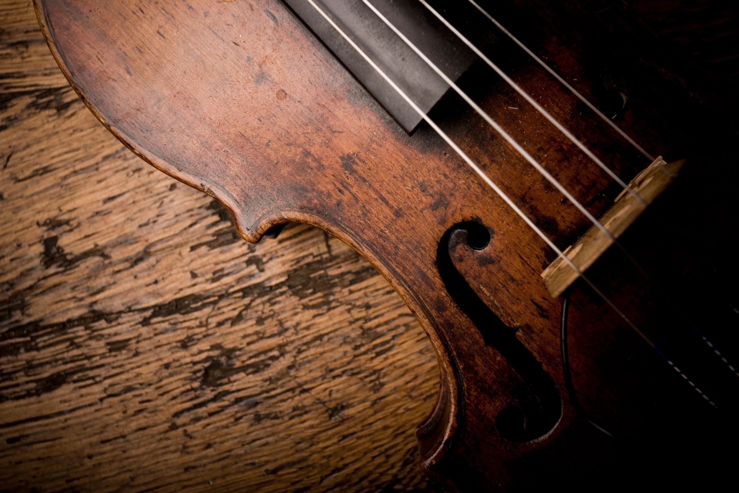 Close-up of violin strings for music education program
