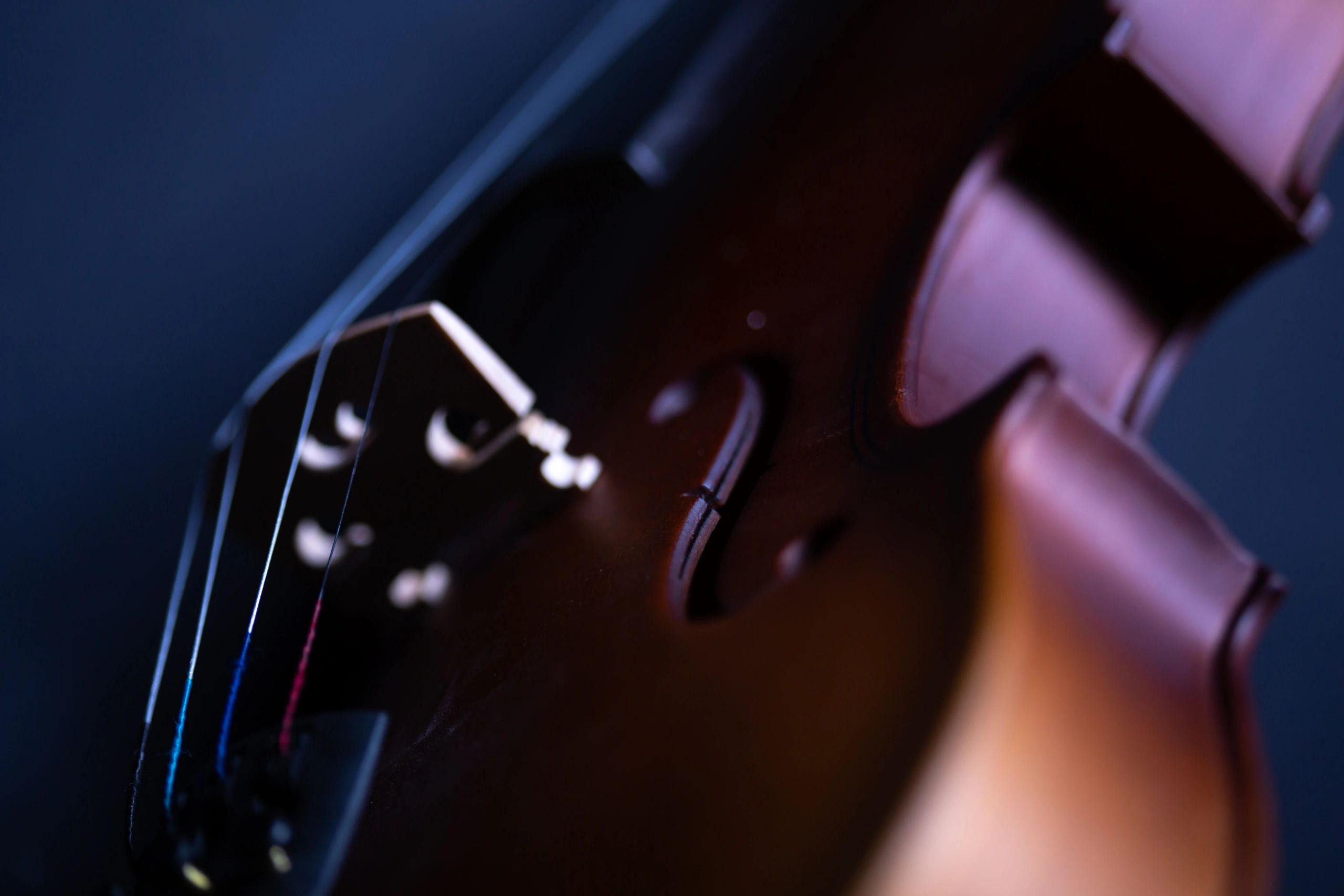 Close-up of violin strings representing music education