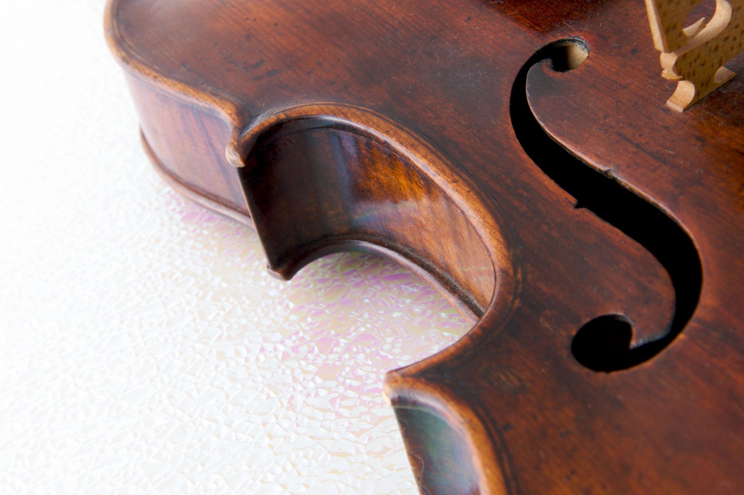 Detailed close-up of a classical string instrument